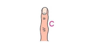 finger-C