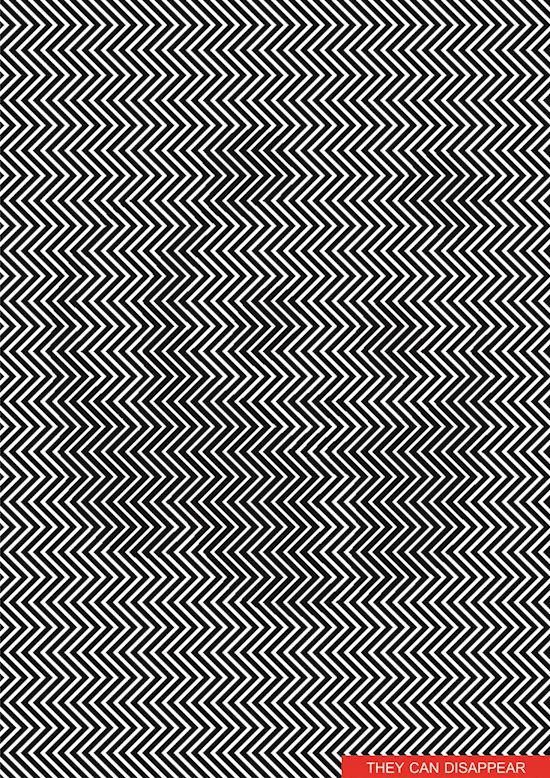 panda-illusione